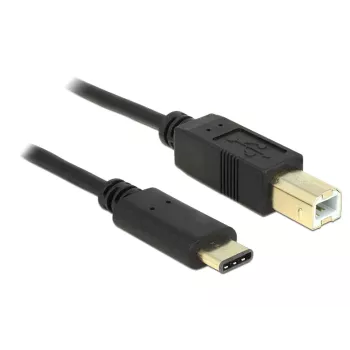 Καλώδιο USB DeLOCK 2m USB2.0-C/USB2.0-B