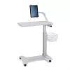 Ergotron Small - Εξάρτημα τοποθέτησης (συρμάτινο καλάθι)