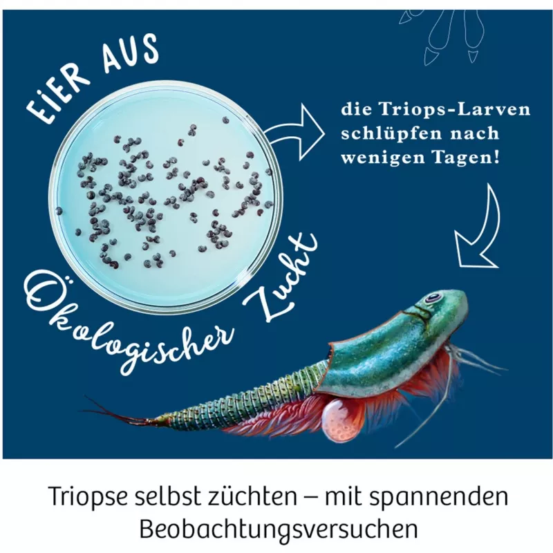 Kosmos 633073 Triops World κουτί πειραμάτων