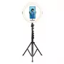 Agfa Arl11xl Ring Light LED Ring 11 ιντσών + τρίποδο + τηλεχειριστήριο