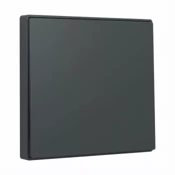 Διακόπτης Gira System 55 ανθρακί 329628 για αρθρωτά πλαίσια