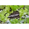 Σύνδεσμος Gardena 13206-20 για σύστημα στάγδην άρδευσης πλαστικό