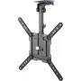 Goobay Βάση οροφής TV Basic (M), μαύρο (70824)