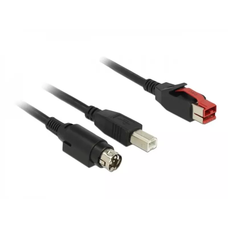 Καλώδιο USB DeLOCK 85489 USB 2.0 3 m USB B μαύρο