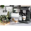 DeLonghi Αυτόματη καφετιέρα 1,8 l Magnifica Plus ECAM320.61.G