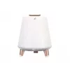 Φορητό ηχείο Blaupunkt BT25LAMP λευκό