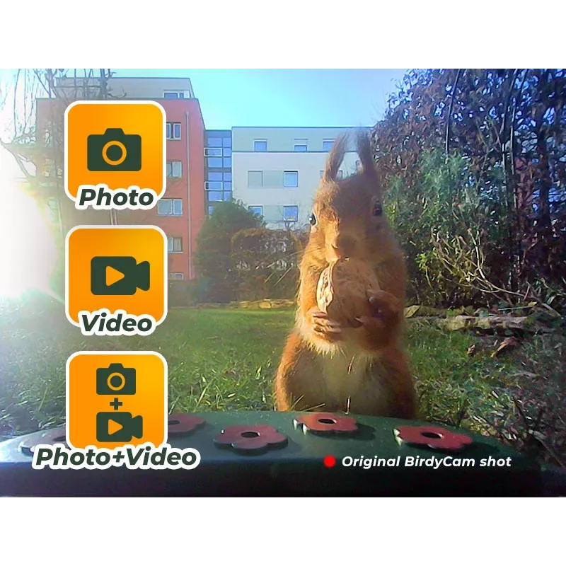 EASYPIX Bird Camera Easypix Bird Cam 10123 1080p HD νυχτερινή όραση