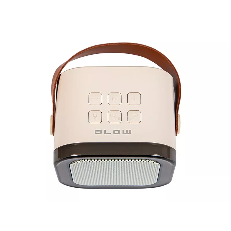 Ηχείο karaoke, KARAOKE RGB ηχείο Bluetooth, 30W