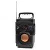 Squeak Bassblaster ηχείο Bluetooth 5.1, ραδιόφωνο FM, MP3 player SQ1001
