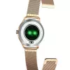 Smartwatch MaxCom FW42 GOLD Χρυσό