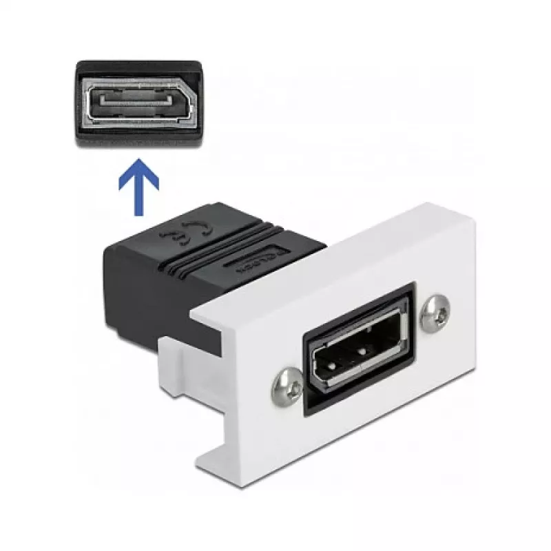 Μονάδα DisplayPort DeLOCK Easy 45 81305