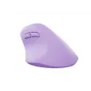Ποντίκι NATEC Crake 2 Universal δεξιόχειρες RF Wireless + Bluetooth οπτικό 2400 DPI