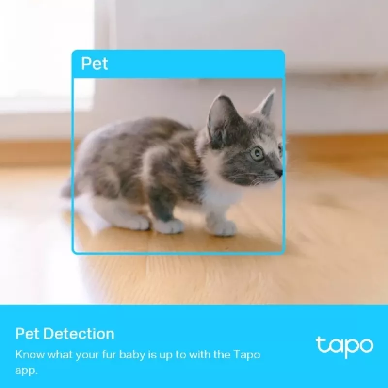 Κάμερα παρακολούθησης IP TP-Link Tapo C225 Standard