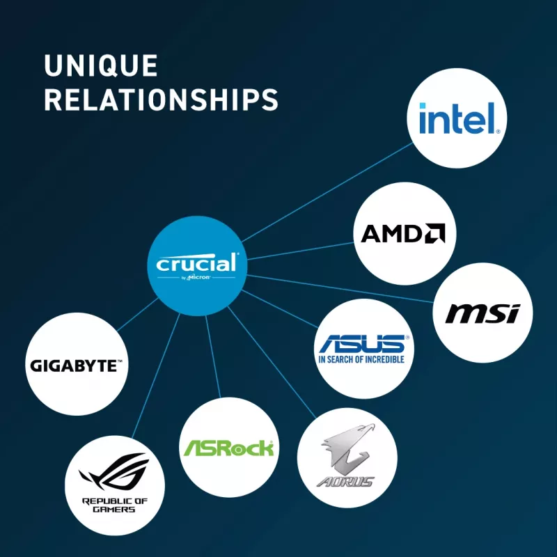 MICRON / CRUCIAL Crucial 32GB DDR5-5600 UDIMM