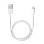 Καλώδιο APPLE Lightning σε USB (0.5 M)