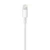 Καλώδιο APPLE Lightning σε USB (0.5 M)