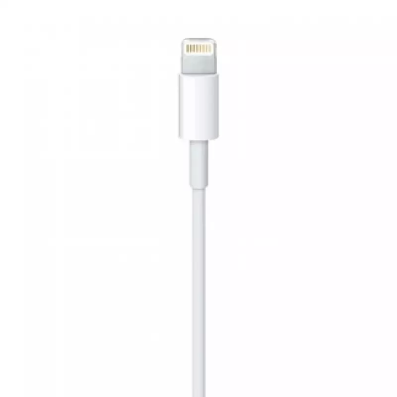 Καλώδιο APPLE Lightning σε USB (0.5 M)
