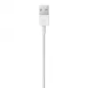 Καλώδιο APPLE Lightning σε USB (0.5 M)