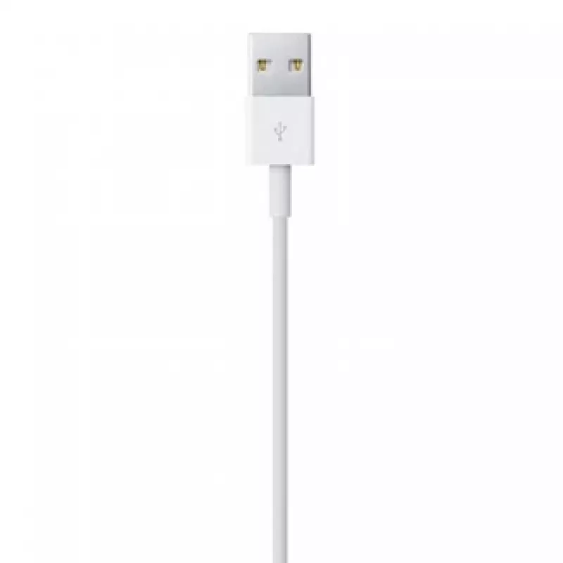 Καλώδιο APPLE Lightning σε USB (0.5 M)