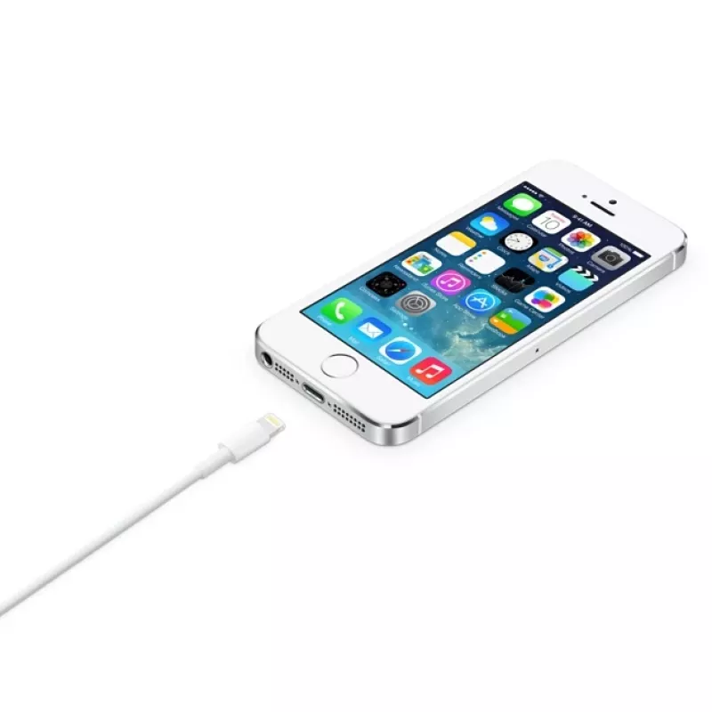 Apple καλώδιο Lightning σε USB 2 m MD819ZM/A