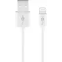 Goobay Καλώδιο φόρτισης και συγχρονισμού Lightning USB 2 m Lightning USB A