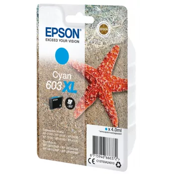 Epson C13T03A24010 μελανοδοχείο 1 τεμ. γνήσιο υψηλής (XL) διάρκειας κυανό