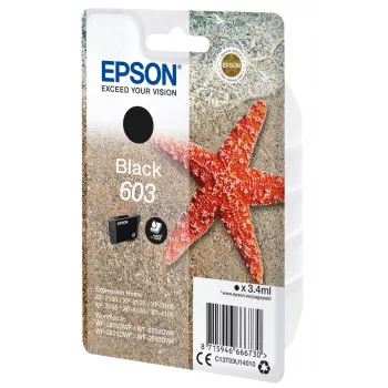 Epson C13T03U14010 μελανοδοχείο 1 τεμ. γνήσιο τυπικής απόδοσης μαύρο
