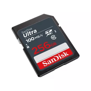 Μνήμη flash SanDisk 256 GB SDXC UHS-I Class 10 SDSDUNR-256G-GN3IN
