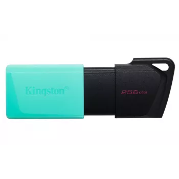 Kingston Technology DataTraveler 256GB USB3.2 Gen1 Exodia M (Μαύρο + Τυρκουάζ)