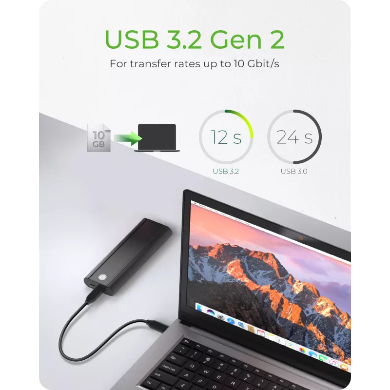 ICY Karton IB-1807MT-C31 Θήκη SSD Μαύρο M.2