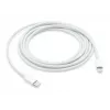 Καλώδιο APPLE USB-c σε Lightning 2 M