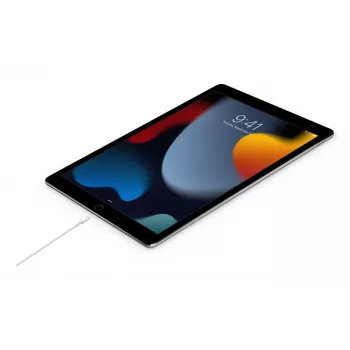 Καλώδιο APPLE USB-c σε Lightning 2 M