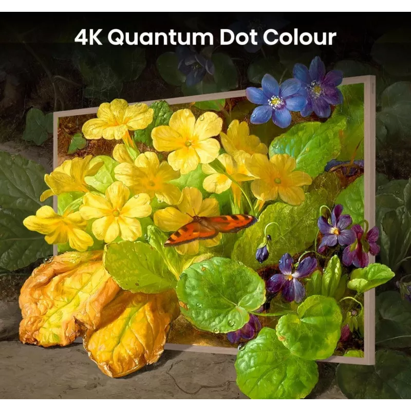 Hisense 55 ίντσες S7NQTUK Canvas TV με Freely & ArtMode