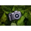 Canon EOS R8, 24,2 MP, 6000 x 4000 pixel, CMOS, 4K Ultra HD, οθόνη αφής, μαύρο