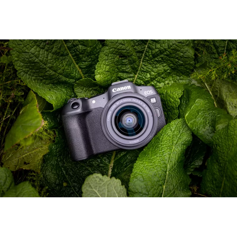 Canon EOS R8, 24,2 MP, 6000 x 4000 pixel, CMOS, 4K Ultra HD, οθόνη αφής, μαύρο