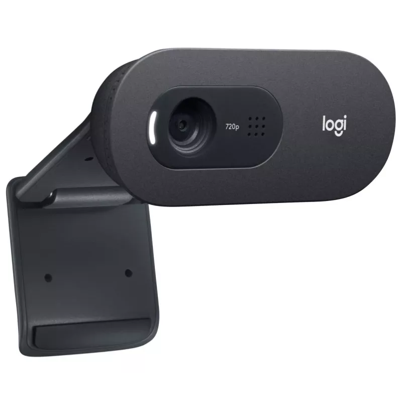 LOGITECH C505e Webcam USB Μαύρο