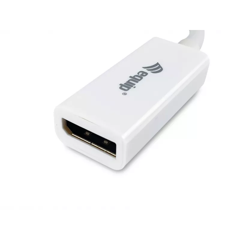 Προσαρμογέας Mini DisplayPort σε DisplayPort Equip 133440