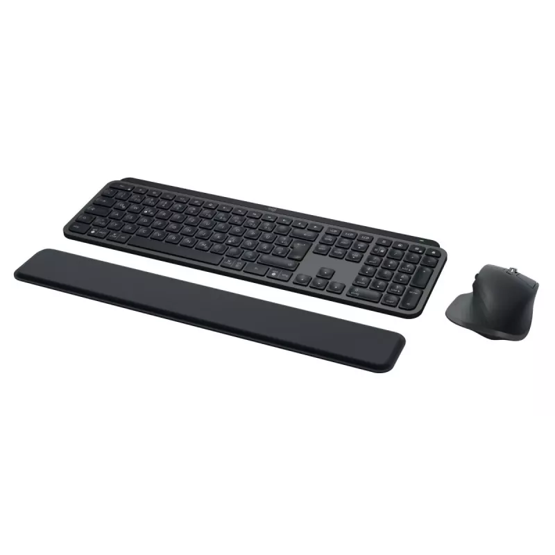 LOGITECH MX Keys Combo For Business Gen 2 - Graphite - Qwertz - γερμανικό