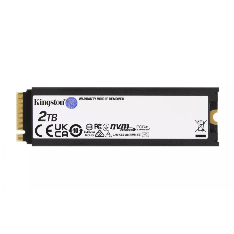 Kingston Technology 2000G RENEGADE PCIe 4.0 NVMe SSD με ψύκτρα