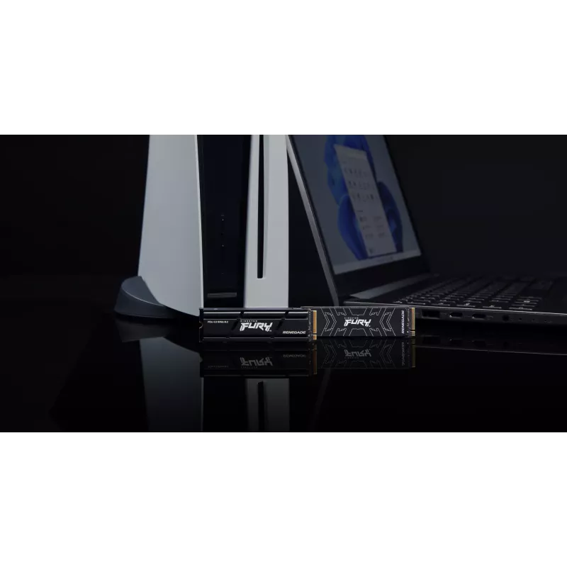 Kingston Technology 2000G RENEGADE PCIe 4.0 NVMe SSD με ψύκτρα