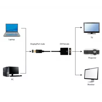 Καλώδιο προσαρμογέα GEMBIRD DisplayPort σε DVI – Μαύρο