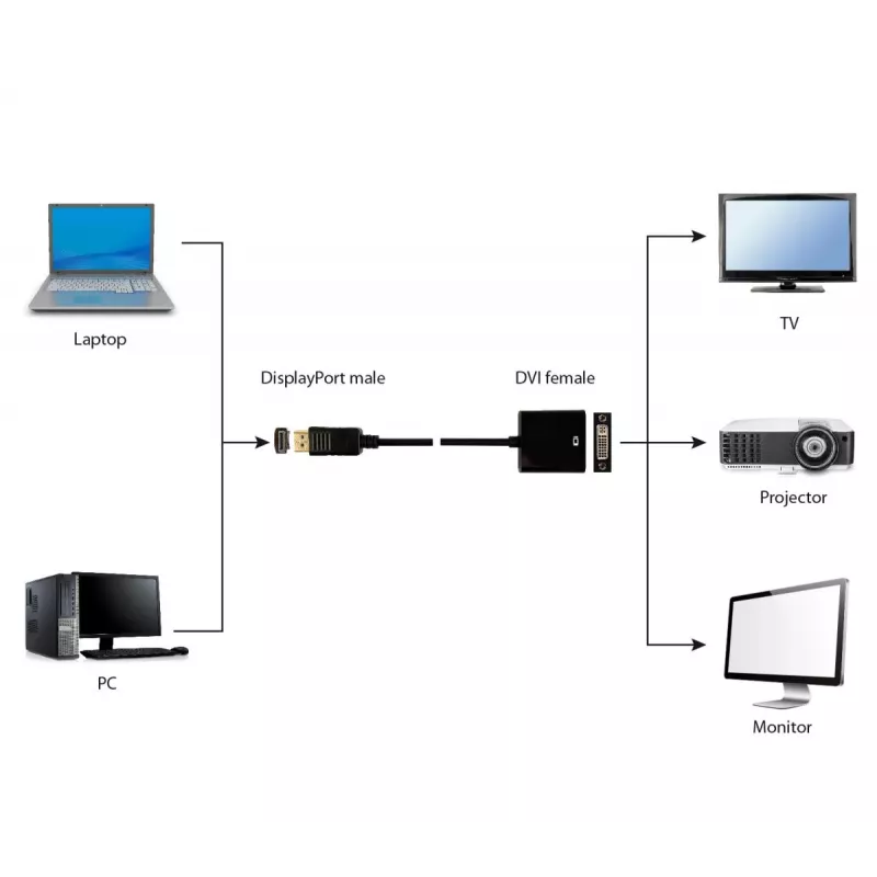 Καλώδιο προσαρμογέα GEMBIRD DisplayPort σε DVI – Μαύρο