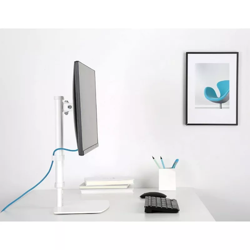 Techly ICA-LCD 260 βάση οθόνης / βάση 68,6 cm (27 ίντσες) γραφείο λευκό
