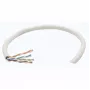 Καλώδιο δικτύου Cat6 χύδην Intellinet, 23 AWG, συμπαγές σύρμα, 305 m, γκρι, CCA, U/UTP, κουτί