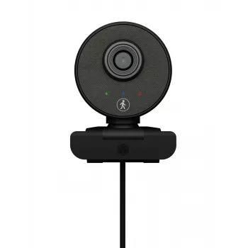 ICY BOX IB-CAM501-HD Webcam 1920 x 1080 pixel USB 2.0 μαύρη