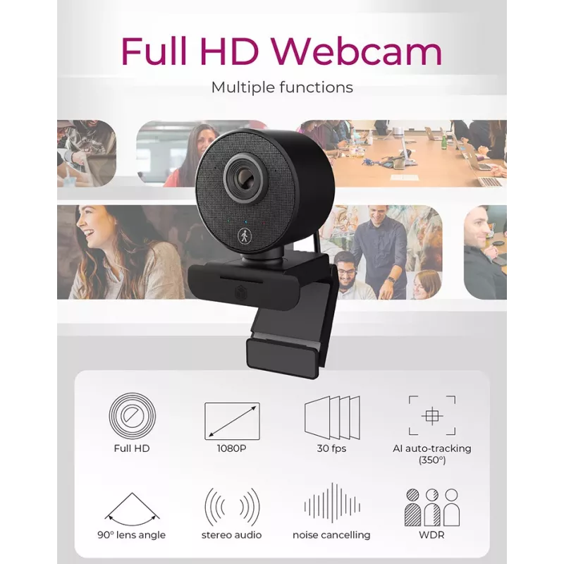 ICY BOX IB-CAM501-HD Webcam 1920 x 1080 pixel USB 2.0 μαύρη