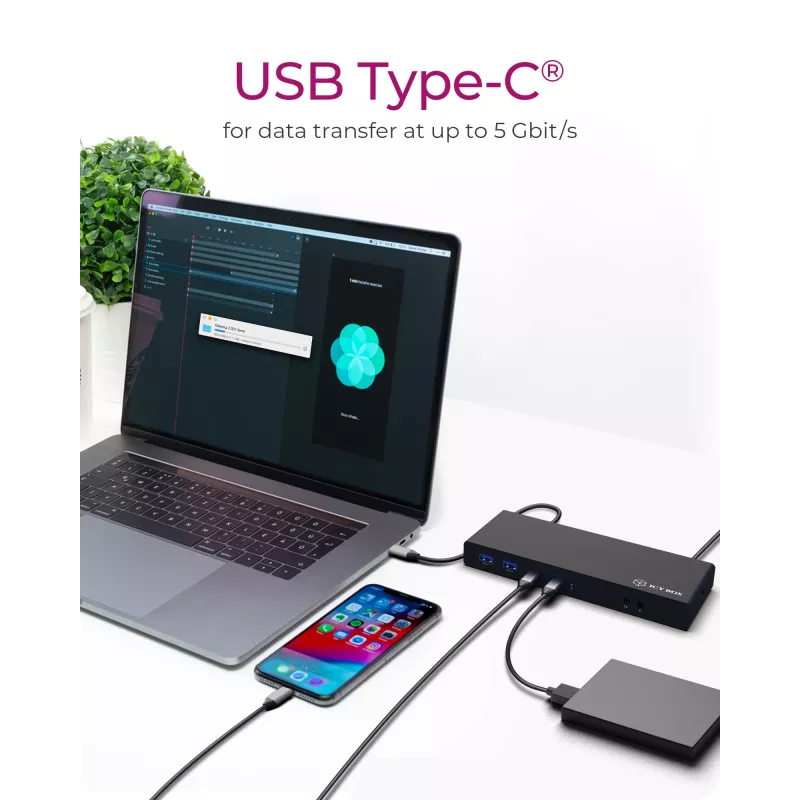 ICY BOX IB-DK2245AC Ενσύρματο USB 3.2 Gen 1 (3.1 Gen 1) Type-C μαύρο