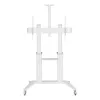 Techly ICA-TR49W Καροτσάκι/Βάση πολυμέσων λευκό για επίπεδη οθόνη