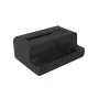 ICY BOX IB-2914MSCL-C31 USB 3.2 Gen 2 (3.1 Gen 2) Type-C Μαύρο