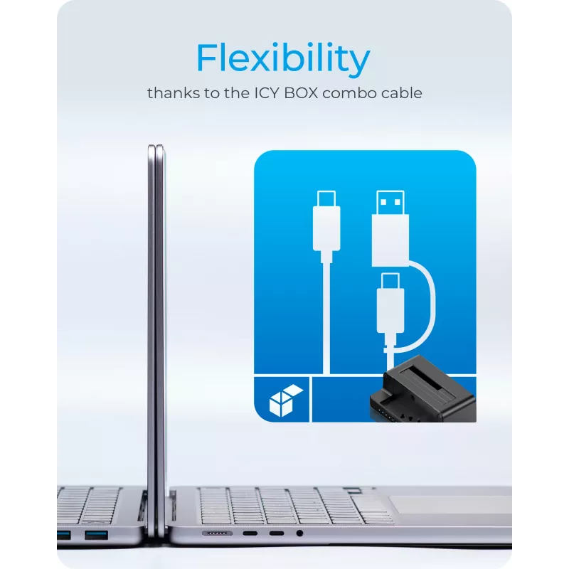 ICY BOX IB-2914MSCL-C31 USB 3.2 Gen 2 (3.1 Gen 2) Type-C Μαύρο